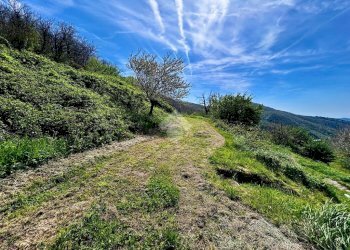 Villa Località cascina Giarrutte, Orco Feglino - foto 40