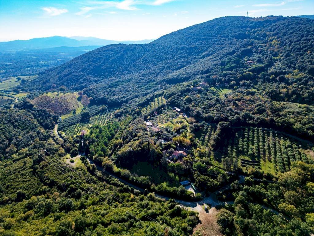 Villa Gavorrano - foto 1