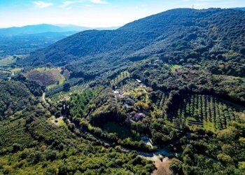 Villa Gavorrano - foto 1