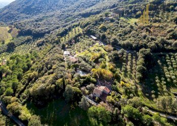 Villa Gavorrano - foto 19