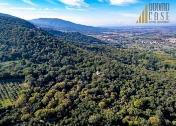 Villa Gavorrano - foto 20