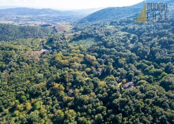 Villa Gavorrano - foto 21