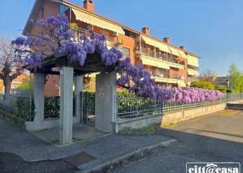 Quadrilocale Chivasso - foto 1