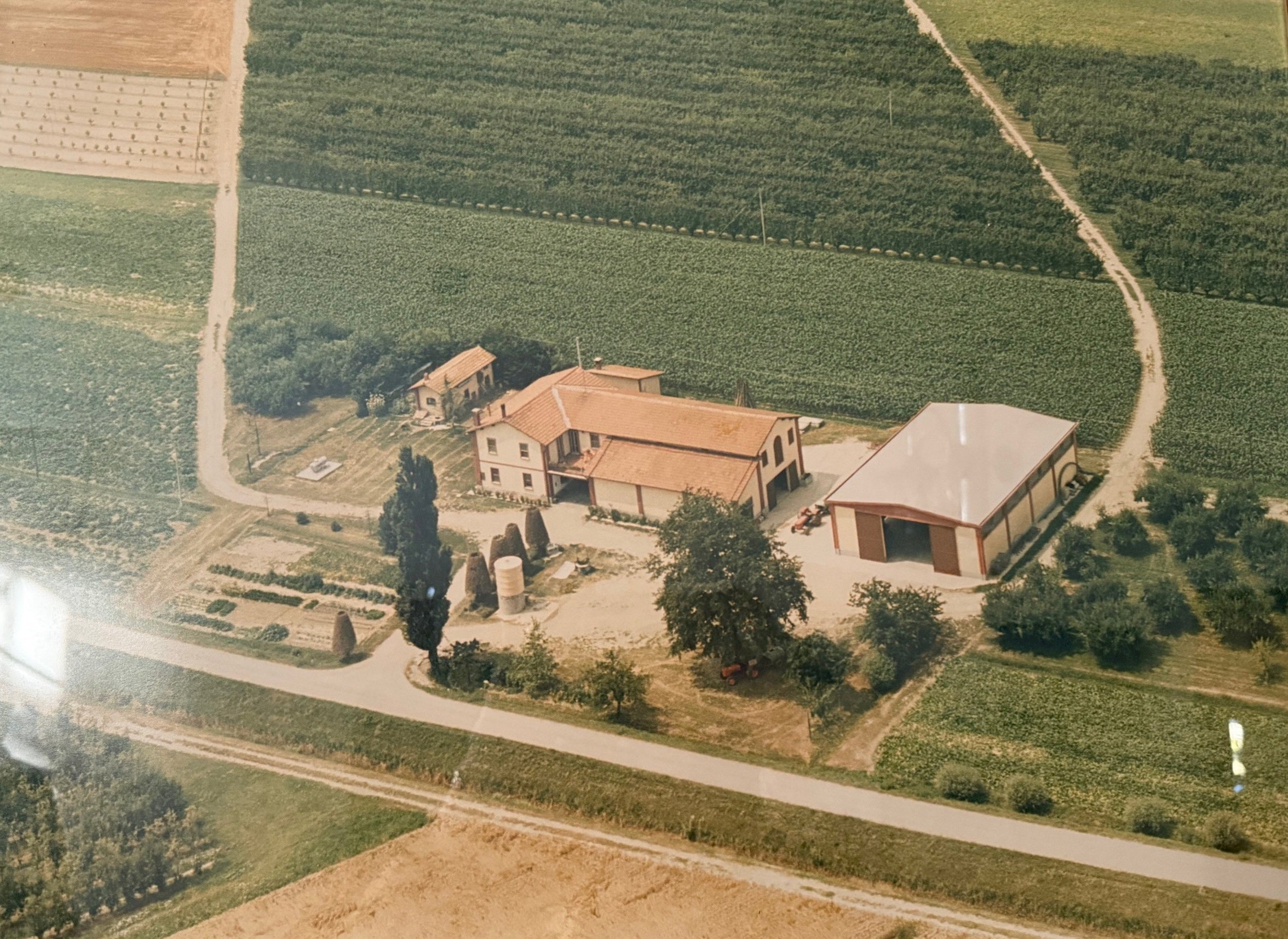 Farmhouse Via Oriolo, 2, Molinella - photo 1