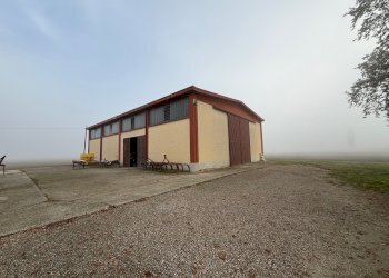 Casa Colonica Via Oriolo, 2, Molinella - foto 14