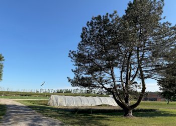 Casa Colonica Via Oriolo, 2, Molinella - foto 17