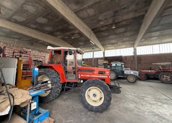 Casa Colonica Via Oriolo, 2, Molinella - foto 36