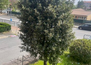 Appartamento Orbassano via frejus 48/3, Piossasco - foto 27