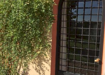 Casale Roatto frazione Briassa 3, Roatto - foto 5