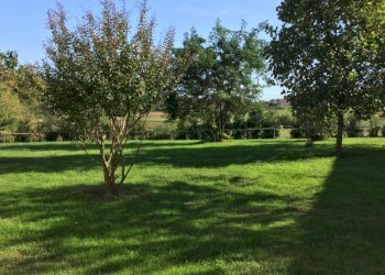 Casale Roatto frazione Briassa 3, Roatto - foto 7