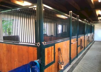 Casale Roatto frazione Briassa 3, Roatto - foto 17