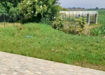 Small Villa Carmagnola via Molinasso 10, Carmagnola - photo 7