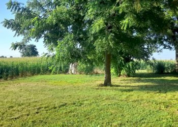 Small Villa Carmagnola via Molinasso 10, Carmagnola - photo 54