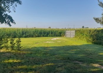 Small Villa Carmagnola via Molinasso 10, Carmagnola - photo 56