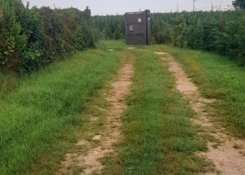 Small Villa Carmagnola via Molinasso 10, Carmagnola - photo 59