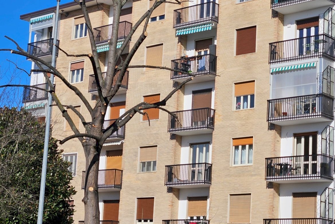 Trilocale Nichelino via Rossini 29, Nichelino - foto 3