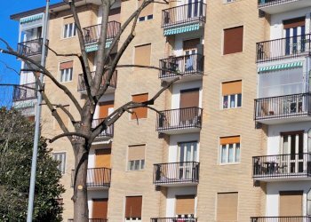 Trilocale Nichelino via Rossini 29, Nichelino - foto 3