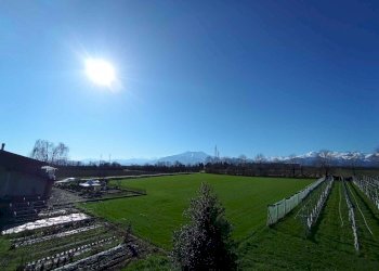 Appartamento in Villa via Molino Morra, frazione Confreria, Cuneo - foto 4