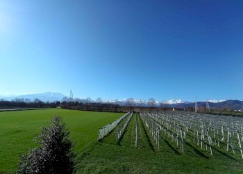 Appartamento in Villa via Molino Morra, frazione Confreria, Cuneo - foto 5