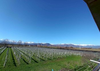 Appartamento in Villa via Molino Morra, frazione Confreria, Cuneo - foto 6