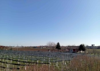 Appartamento in Villa via Molino Morra, frazione Confreria, Cuneo - foto 7