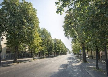 Quadrilocale Piazza XXV Aprile, Parma (zona Cittadella) - foto 4