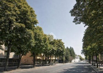 Quadrilocale Piazza XXV Aprile, Parma (zona Cittadella) - foto 5