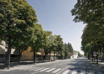 Quadrilocale Piazza XXV Aprile, Parma (zona Cittadella) - foto 6