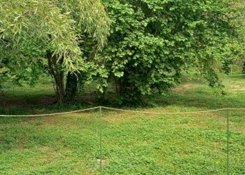 Porzione di casa Cornate d'Adda - foto 3