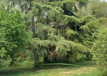 Porzione di casa Cornate d'Adda - foto 15