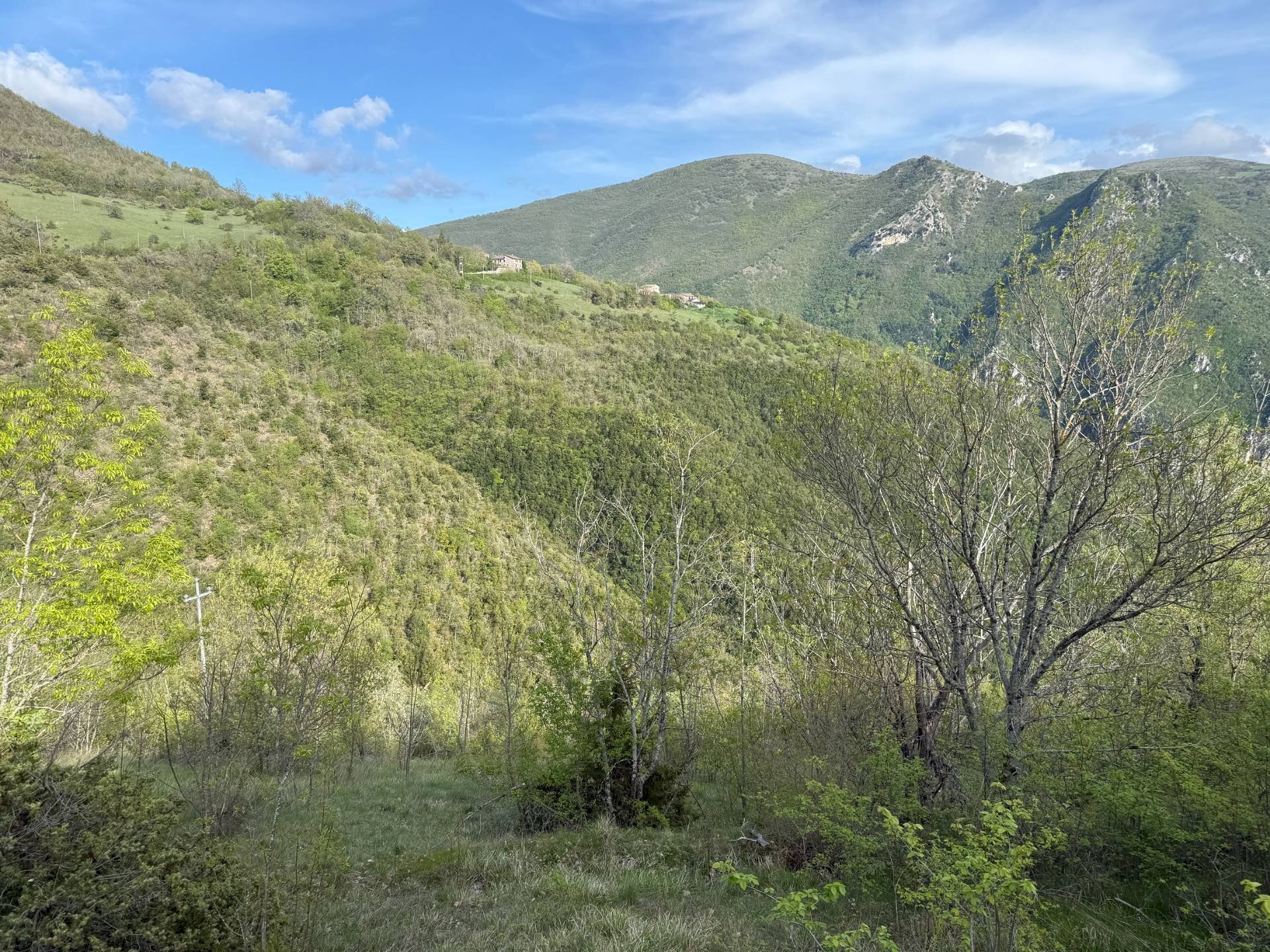 Foto 3 - Terreno agricolo Fergino, Cerreto di Spoleto - foto 3