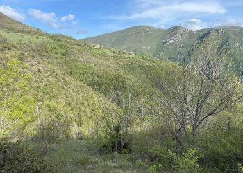 Foto 3 - Terreno agricolo Fergino, Cerreto di Spoleto - foto 3