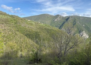 Foto 4 - Terreno agricolo Fergino, Cerreto di Spoleto - foto 4