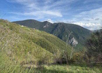 Foto 5 - Terreno agricolo Fergino, Cerreto di Spoleto - foto 5