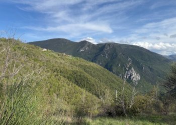 Foto 6 - Terreno agricolo Fergino, Cerreto di Spoleto - foto 6