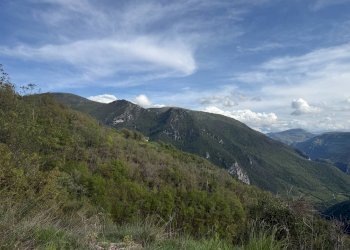 Foto 9 - Terreno agricolo Fergino, Cerreto di Spoleto - foto 9
