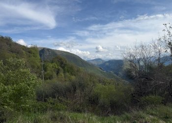 Foto 10 - Terreno agricolo Fergino, Cerreto di Spoleto - foto 10