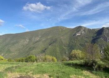 Foto 11 - Terreno agricolo Fergino, Cerreto di Spoleto - foto 11