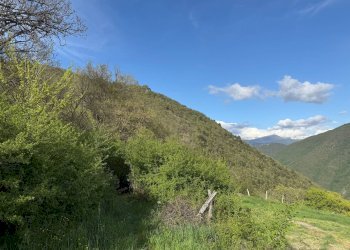 Foto 12 - Terreno agricolo Fergino, Cerreto di Spoleto - foto 12