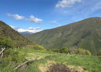 Foto 13 - Terreno agricolo Fergino, Cerreto di Spoleto - foto 13