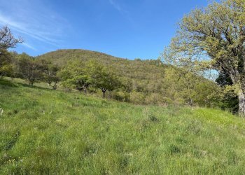 Foto 14 - Terreno agricolo Fergino, Cerreto di Spoleto - foto 14