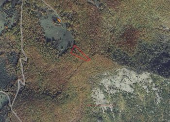 Foto 17 - Terreno agricolo Fergino, Cerreto di Spoleto - foto 15