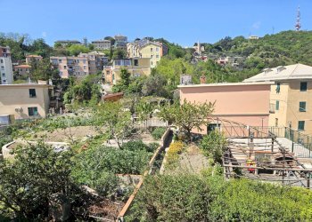 Foto 19 - Appartamento Salita Di Granarolo, Genova - foto 19