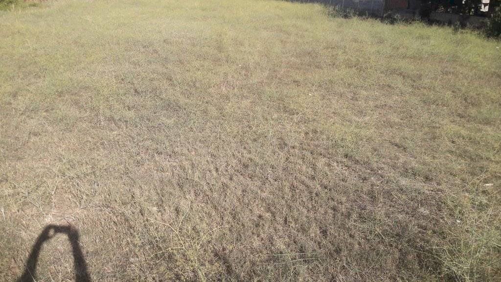 Foto 2 - Terreno agricolo Via Filia, Quartu Sant'Elena - foto 2