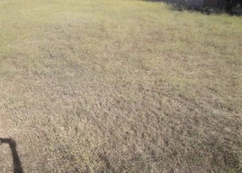 Foto 2 - Terreno agricolo Via Filia, Quartu Sant'Elena - foto 2