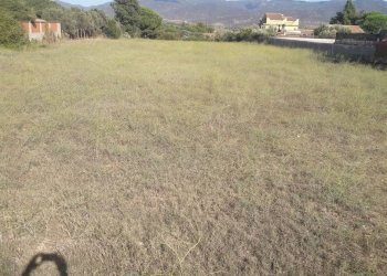 Foto 4 - Terreno agricolo Via Filia, Quartu Sant'Elena - foto 4