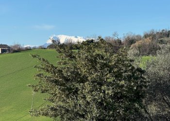 Foto 4 - Casa indipendente C.da Metuccia
 
2, Fermo - foto 4