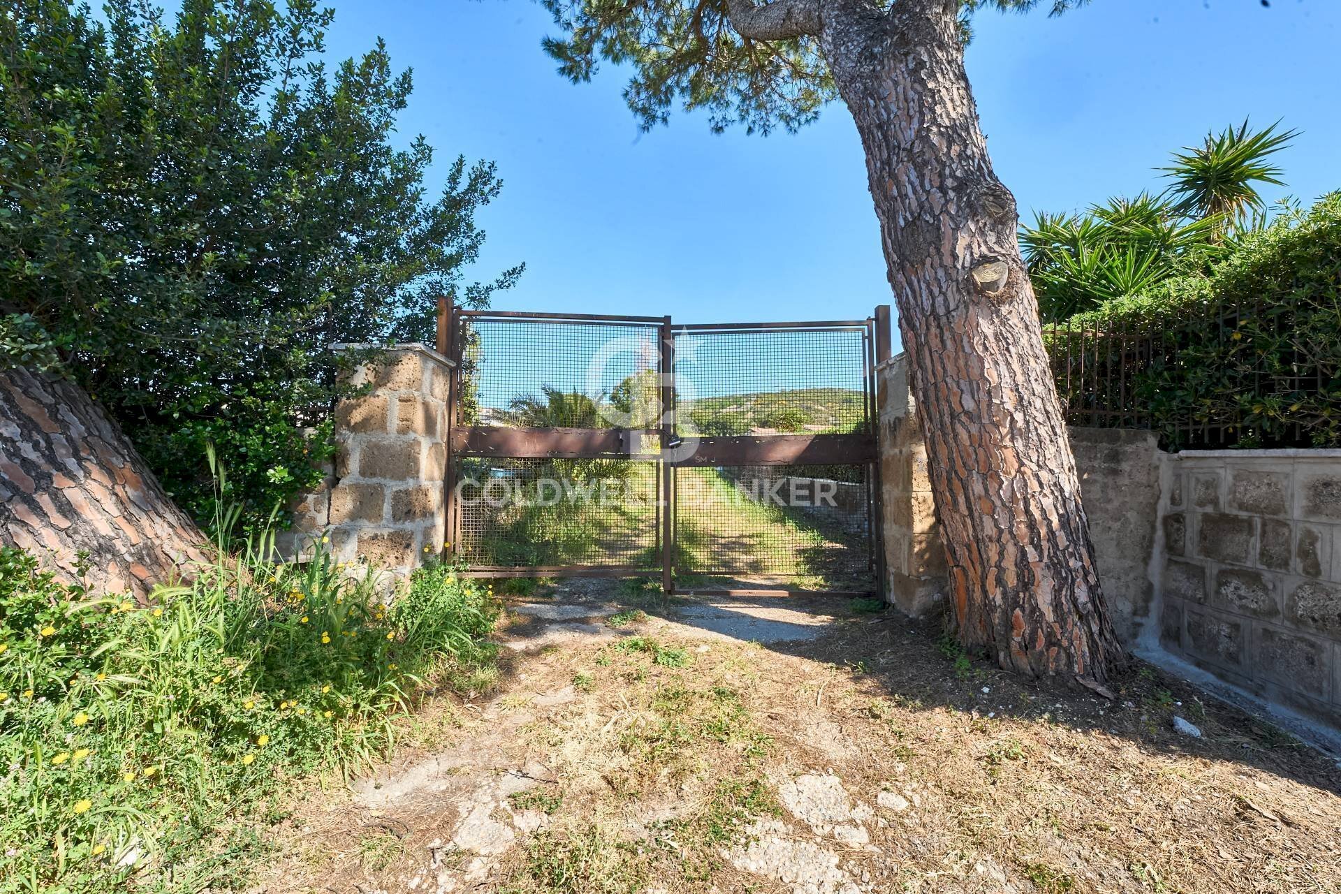 Foto 2 - Terreno agricolo Via Aurelia Vecchia
 
snc, Santa Marinella - foto 2