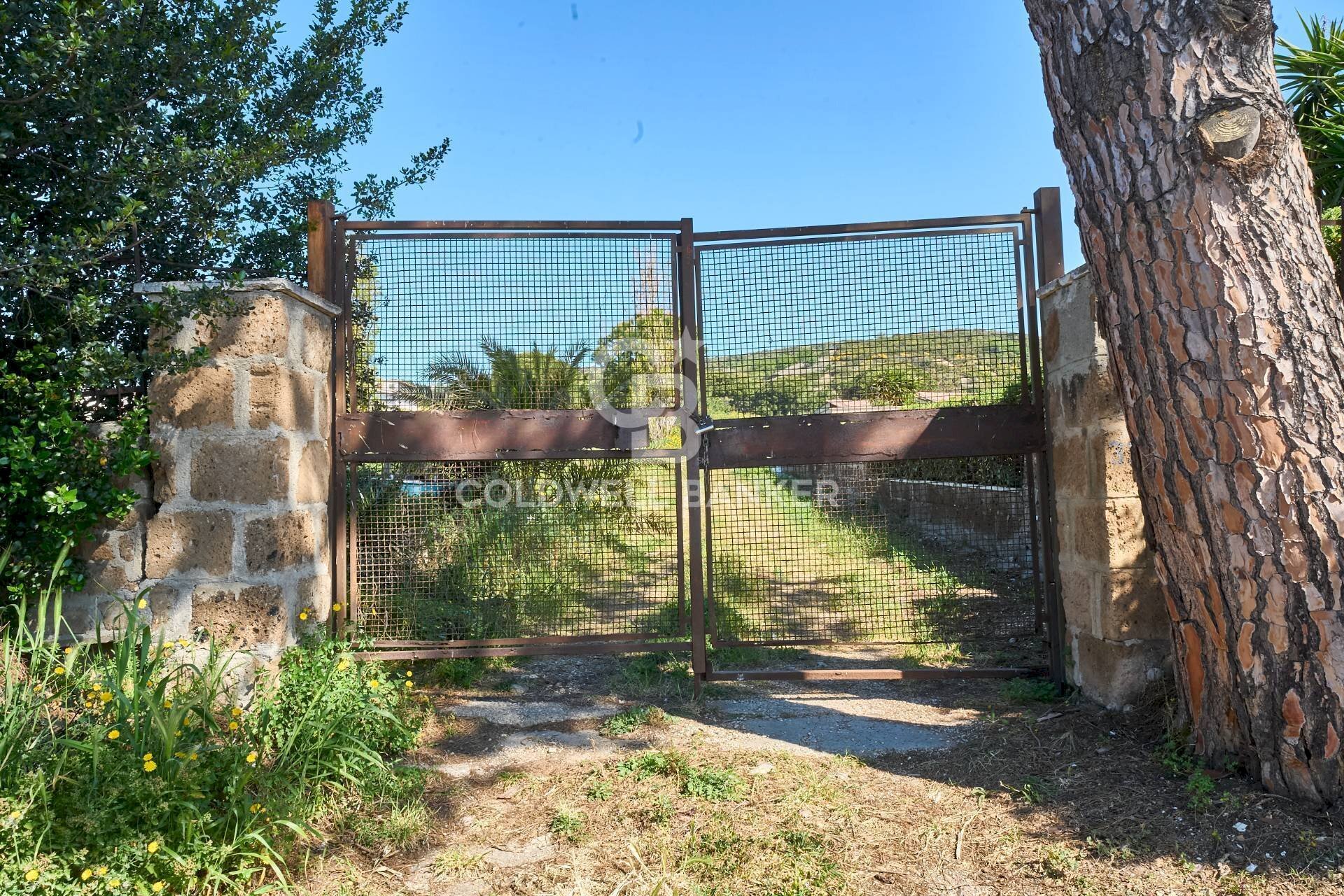 Foto 3 - Terreno agricolo Via Aurelia Vecchia
 
snc, Santa Marinella - foto 3