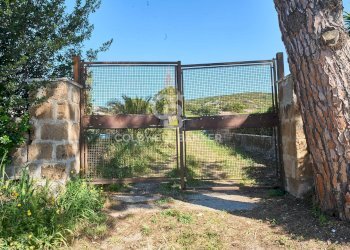 Foto 3 - Terreno agricolo Via Aurelia Vecchia
 
snc, Santa Marinella - foto 3